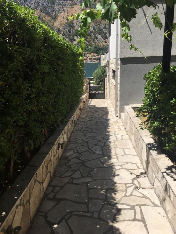 Bjelica * קוטור
